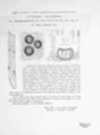 Blumeria graminis image
